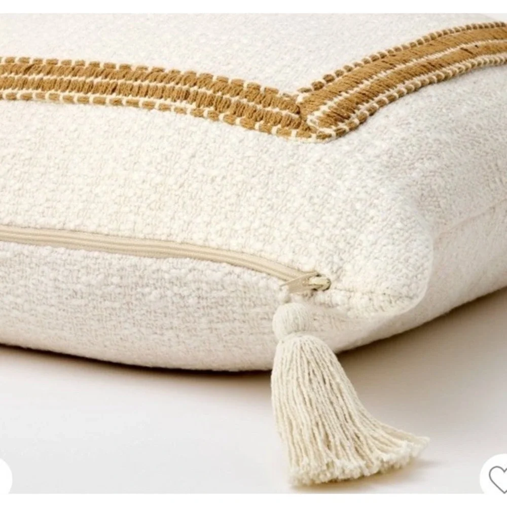 Threshold studio mcgee oversized  Frame border pillow cream and tan